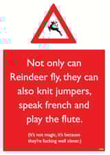 xmas festive Christmas Card 12117 created by Brainbox Candy