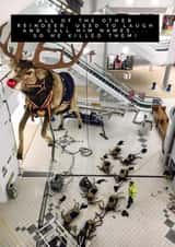 Photographic Funny Christmas Card 1000 created by Simon Baxendale