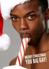 Photographic Humour Christmas Card 22089 created by Simon Baxendale