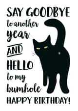 Hello Bumhole Birthday created by Chelsey Adams