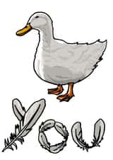 duck fuck Card 34885 created by Rory Kennedy