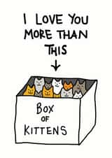 Cute Valentines Day Card - Kittens - I Love You More Than This - Box Of Kittens created by Cat Flap Cards
