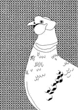 pheasant animal Card 35132 created by Kate Priestman Art
