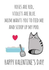 Cute Valentines Day Card - From The Cat - Roses Are Red Violets Are Blue Mum Wants You To Feed Me And Scoop Up My Poo created by Miümi Cat