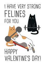 Funny Valentines Day Card - I Have Very Strong Felines For You - Cat - Pun created by Miümi Cat