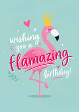 Cute Flamingo Lover Birthday Card - For Friend - For Her - Funny Pun created by Tiger Feet Creations