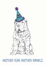 Another year another wrinkle birthday card created by Richard Marsh Art