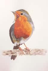 Card 34557 created by Kit Sturgess
