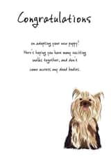 New puppy Congratulations Card 35969 created by Itchy avocado