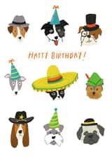 jack russell Birthday Card 2241 created by Just like Sophie