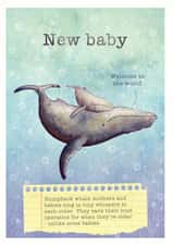 new baby Card 34379 created by Ceri Thomas