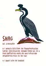 shag bird Card 32882 created by Newton and the Apple