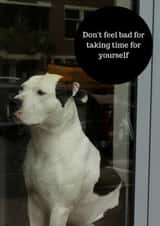 dog illness Card 36882 created by Sara Elise