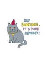 female male Birthday Card 32503 created by Kerry Stewart