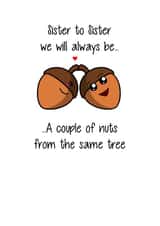 Cute Birthday Card - Sister - Poem - Sister To Sister We Will Always Be A Couple Of Nuts From The Same Tree created by That Card Shop