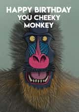 birthday monkey Card 35170 created by DengalsDoodles