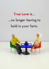 Funny Figurine Anniversary Card / Valentines Day Card / Wedding Card - True Love Is No Longer Having To Hold In Your Farts created by Bold & Bright Cards