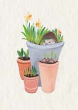 Female Mother Card 23792 created by Carina Roberts