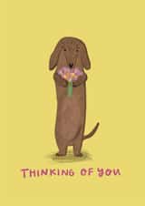 sausage dachshund Thinking of you Card 7728 created by Faye Finney