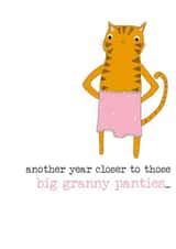 another year closer to those big granny panties... created by Dandelion Stationery