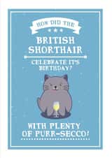 Card 37501 created by Wild Cards by Becky