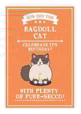 how did Birthday Card 13883 created by Wild Cards by Becky