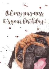 Cute Birthday Card - Oh My Pug-Ness created by Splatterworks