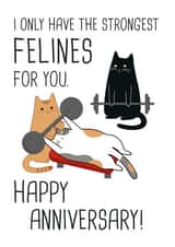 Funny Gym Cat Anniversary Card / Valentines Day Card - I Only Have The Strongest Felines For You created by Miümi Cat