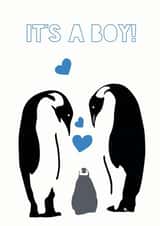 penguin boy New Baby Card 10383 created by Olivia Morgan ltd
