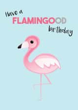 flamingo flamingood Birthday Card 12833 created by Tori's Little Bubble