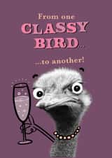 Funny Birthday Card - Classy Bird - Ostrich - Drink created by Pink wink