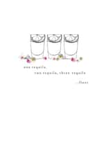 tequila one Birthday Card 14067 created by Cinnamon Aitch