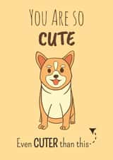 Cute Corgi Anniversary Card 37751 created by Pugs and Stuffs