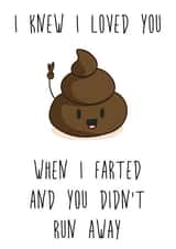 Funny Poo Anniversary Card / Valentines Day Card - Farts - I Knew I Loved You When I Farted And You Didn't Run Away created by Fabulously Framed