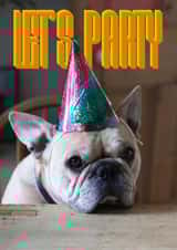 french bulldog Birthday Card 14093 created by Sofia Wåhlin