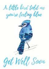 bird blue Get Well Card 14265 created by Zoelizabeth