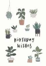 Cute Birthday Card for Your Plant Loving Friend - Birthday Wishes created by Jessie Miles