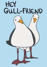 Funny Valentines Day Card - Seagulls - Pun - Hey Gullfriend created by OhJaye