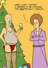 Funny - Adult - Humour - Christmas Stockings - Grumpy - Funny - Nude - Surprise - Christmas Card created by Nick Hannaford-Hill