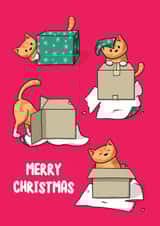 Merry Christmas Cat in a Box created by Doodlecats