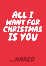 All I Want For Christmas Is You ...Naked Funny Christmas Card For Other Half created by Studio Doodles