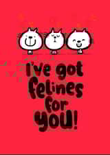 felines for you created by Pink wink