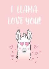 llama llamalove Card 38163 created by Fenella Designs