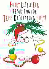 Cute, funny cat Christmas card for cat loving friends and family. created by Kat Pearson