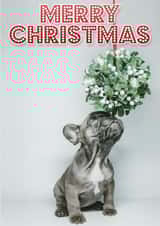 Merry Christmas - Cute Puppy & Mistletoe 1000 created by Sqwibble Cards
