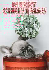 Merry Christmas - Cute Puppy & Mistletoe 1001 created by Sqwibble Cards