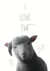 Cute Ewe Pun Anniversary Card / Valentines Day Card - I Love Ewe created by Chocolate Frog