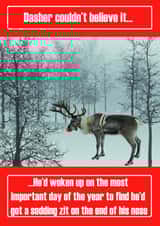 dasher couldn't Christmas Card 12368 created by Oh So Cheeky