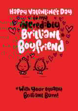 brilliant boyfriend created by Pink wink