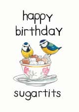 watercoulour birds Birthday Card 14555 created by Blair